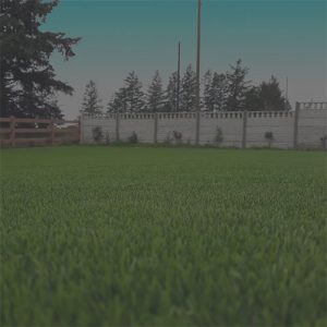 Synthetic Turf Express landscape artificial grass